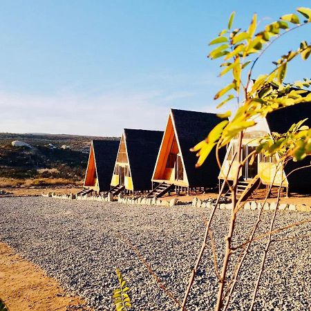 Ixchel Glamping Valle de Guadalupe Ensenada Værelse billede