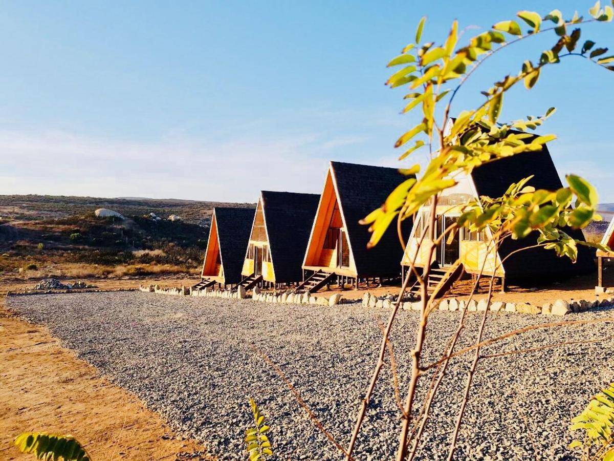 Ixchel Glamping Valle de Guadalupe Ensenada Værelse billede